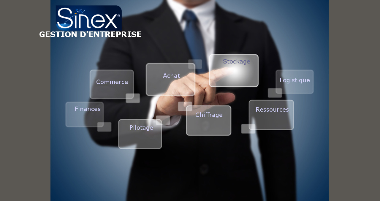 Sinex - Modules de gestion d'entreprise